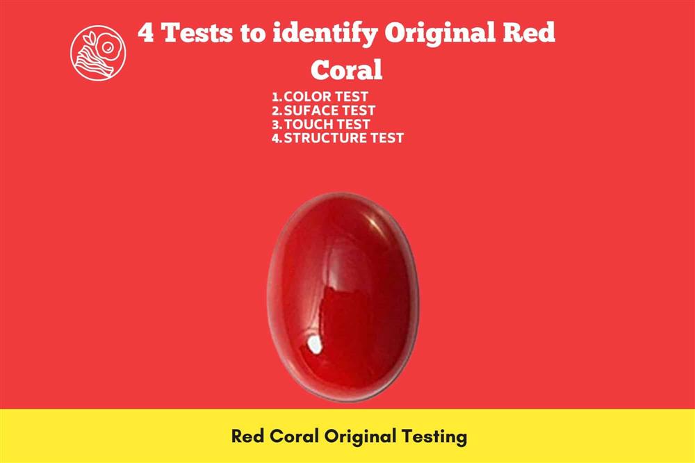 Real 2025 red coral